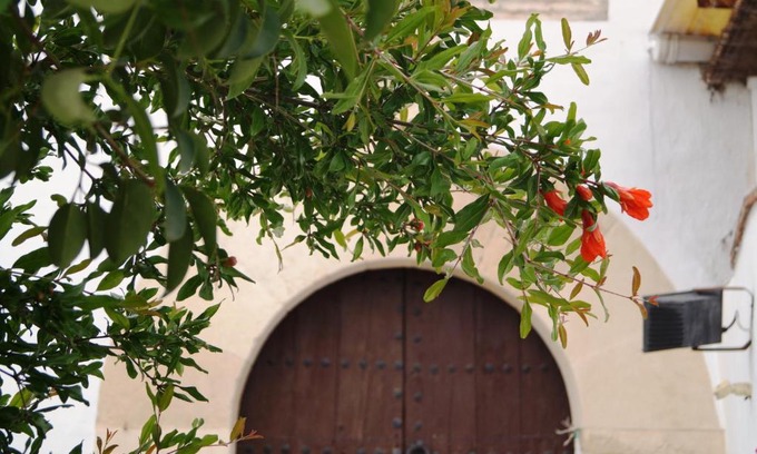 Moclin House | Casa de la Placeta del Rincón