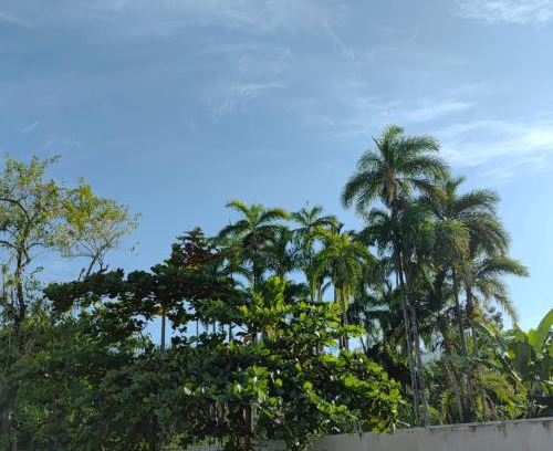 Sertao da Quina House | casa de temporada João e Maria Quarto privativo Nº 05 Maranduba Ubatuba