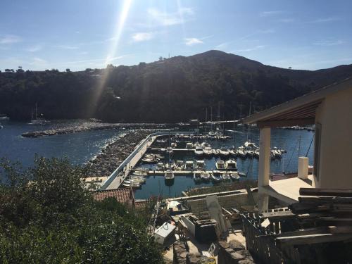 Porto House | Casa del porticciolo di Capraia