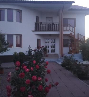 Douazeci si Trei August House | Casa Doina