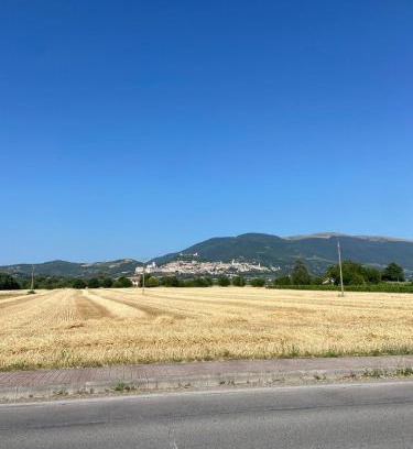 Santa Maria degli Angeli Apartment | Casa Elisa