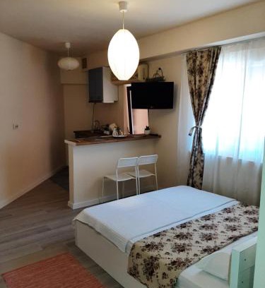 Craiova House | Casa Flamingo
