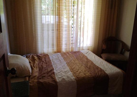 Daniel Flores House | Casa Jungla