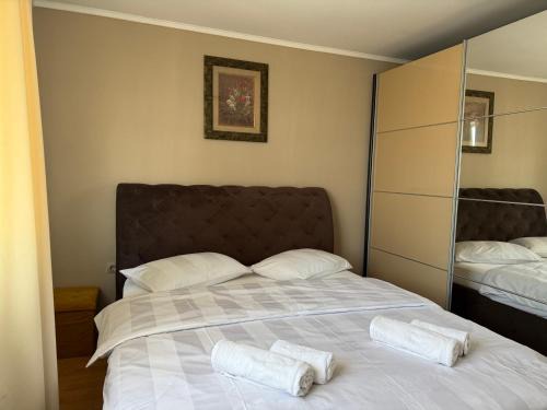 Borsa House | Casa Larisa Borsa