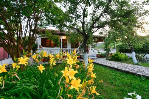 Velonades House | Casa Maria