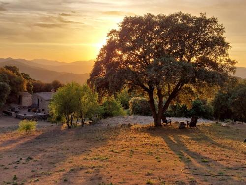Montefrio House | Casa Montaña Rustica with beautiful views