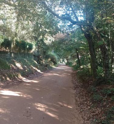 Vila Natal Ski Chalet | Casa no Bosque Vila Natal