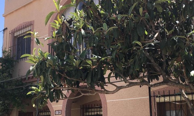 San Fulgencio Bed & Breakfast | Casa Phoenix Bed & Breakfast