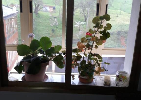 Riotorto Apartment | Casa Potes