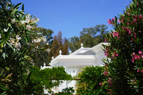 Penina Villa | Casa Rã - Architect Edition