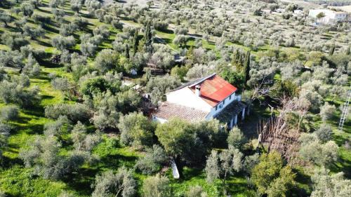 Pruna House | Casa Rural Privada Belén