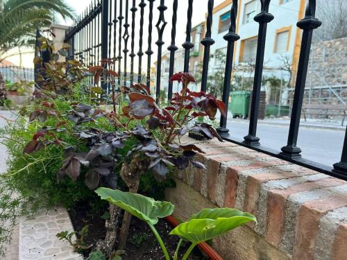 Belmez de la Moraleda House | Casa Sofía