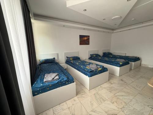 Pitesti House | Casa Stefan