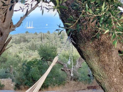 Magazia House | Casa Tereza