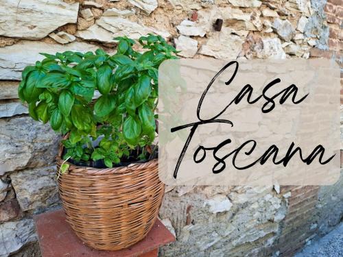 Sassetta Apartment | Casa Toscana