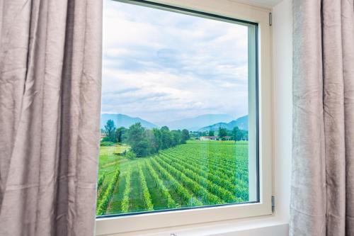 Torbiato di Adro Apartment | Casa Vacanza Dany in Franciacorta Vista Vigneti