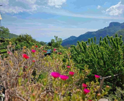 Campinola House | CASA VACANZE - Anna Holiday Home