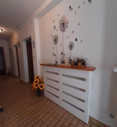 Pieve Tesino House | Casa vacanze jsabel