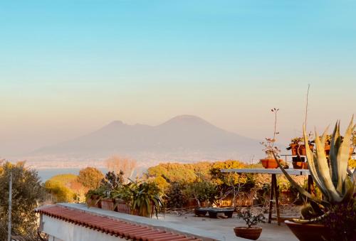 Posillipo Apartment | casa vacanze Mamilù