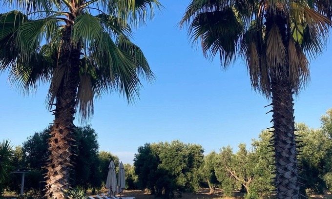 Ceglie Messapica Villa | đ Casale DellâOliveto a beautiful villa nestled in tranquil olive grove 15m pool