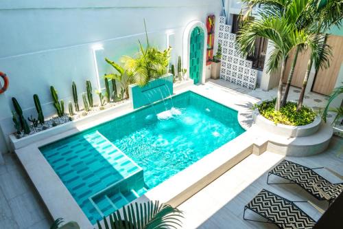 Santa Marta Hotel | Casana Rosa Hotel