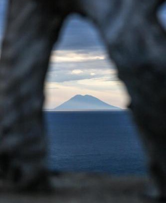 Ricadi House | Case di Berto