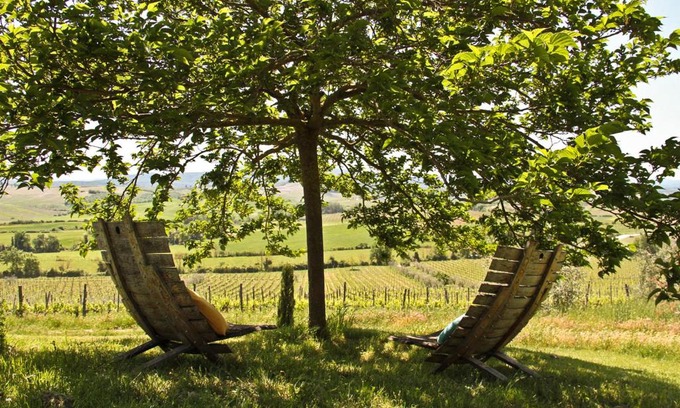 Castellina in Chianti House | Casina Di Cornia