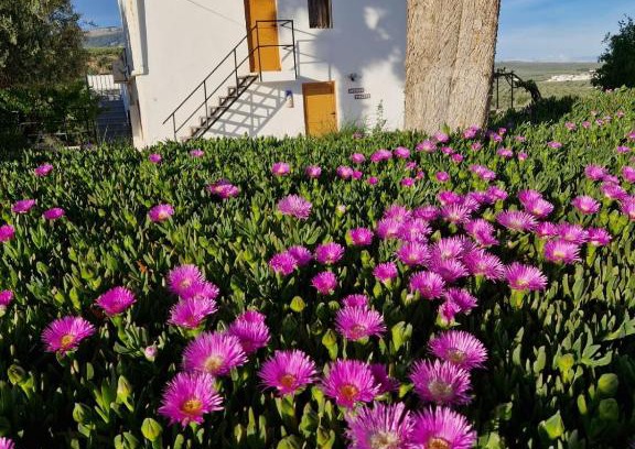 Illora Apartment | Casita of Casa Olivar