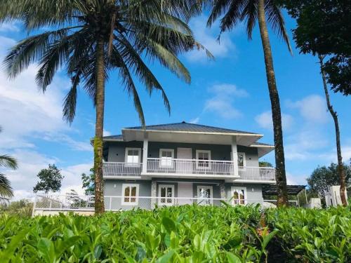 Elappara House | Cat Homes Vagamon