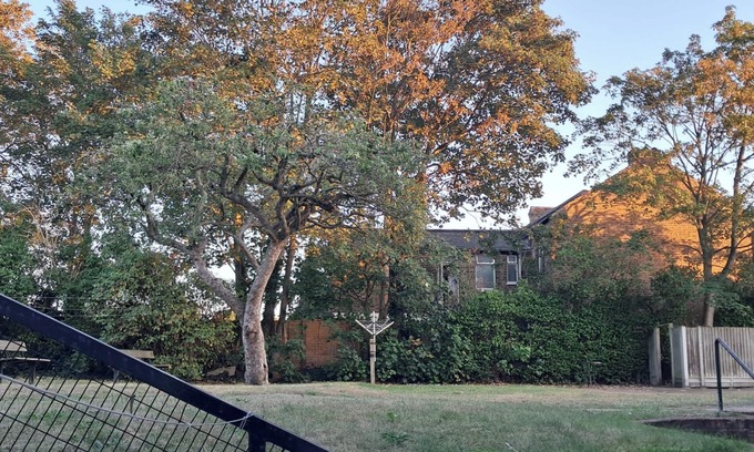 Newham Apartment | Central 2-Bed House - Sleeps 3 & Garden