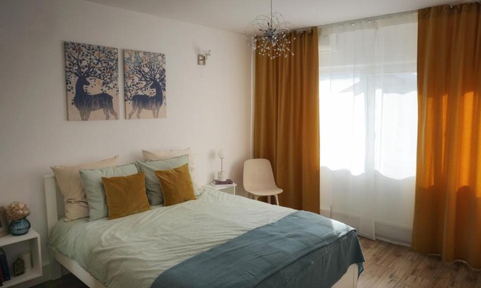 Calimanesti Apartment | Central View Calimanesti