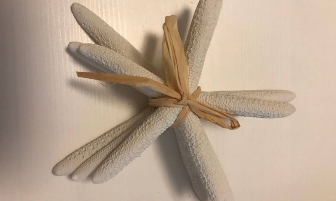 Luebeck Old Town Apartment | Centrally located haven of peace in the old town of Lübeck