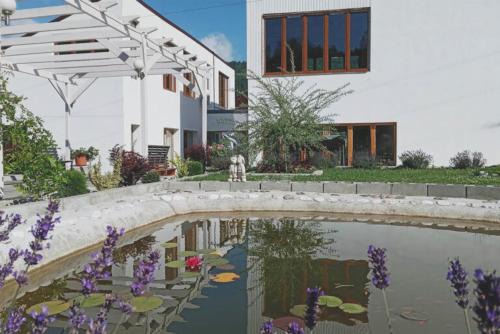 Salciua de Jos Bed & Breakfast | Centrul 3H