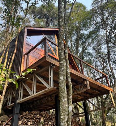 Garibaldi Ski Chalet | Chalé Araucária