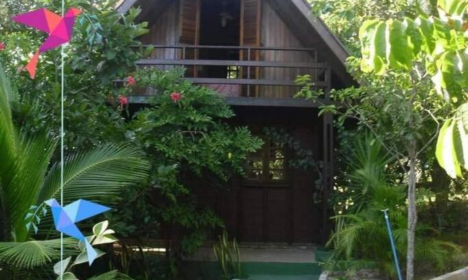 Imbassai Ski Chalet | Chalé de Madeira nr03 - Exuberante Flora e Fauna - IMBASSAI