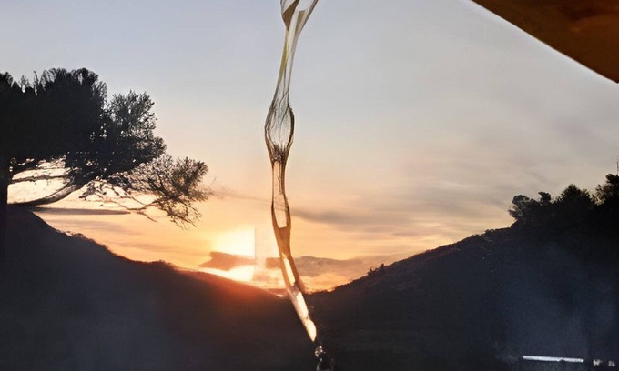 Vacas Gordas Cabin | Chalé Diamante Negro - Urubici