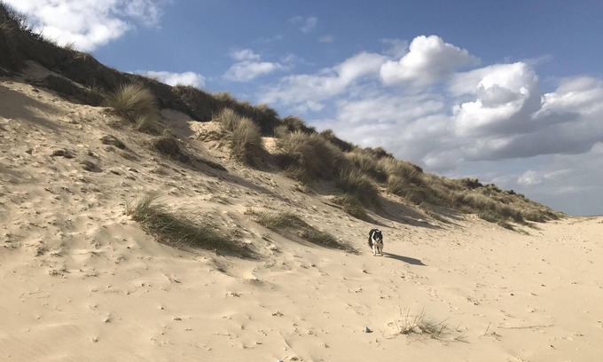 Winterton-on-Sea Ski Chalet | Chalet by the beach. Peaceful setting. Pets stay free.