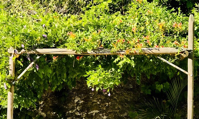 Jimena de la Frontera House | Chalet 'Finca El Búho Oak Natural Park' with Sea Views, Wi-Fi and Air Conditioning