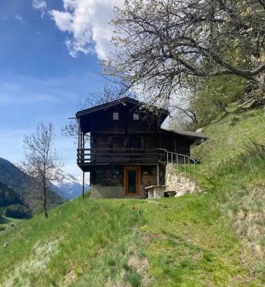 Niederwald Ski Chalet | Chalet in Niederwald