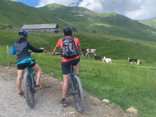 Val d'Illiez Hotel | Chalet Montriond - Bike & Ski