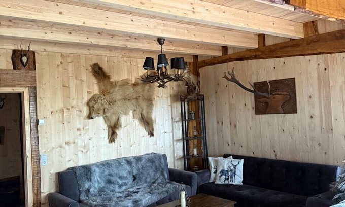Harzgerode Ski Chalet | Chalet on the Wolfsberg