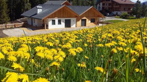 San Martino in Badia Ski Chalet | chalet soredl