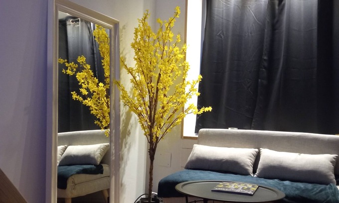 Cherbourg-en-Cotentin Apartment | Charmant Studio Atypique, au Coeur d' une rue Commerçante
