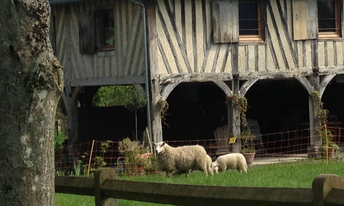 Les Authieux-sur-Calonne House | Charming gîte near Honfleur/Deauville with tennis court. 4 ha. Pets welcome!