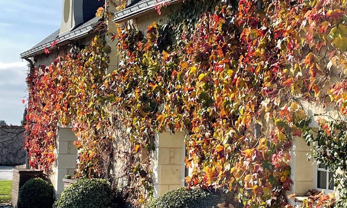 Allonnes House | Charming 3-bedroom Family Manor with AC and WiFi in Allonnes