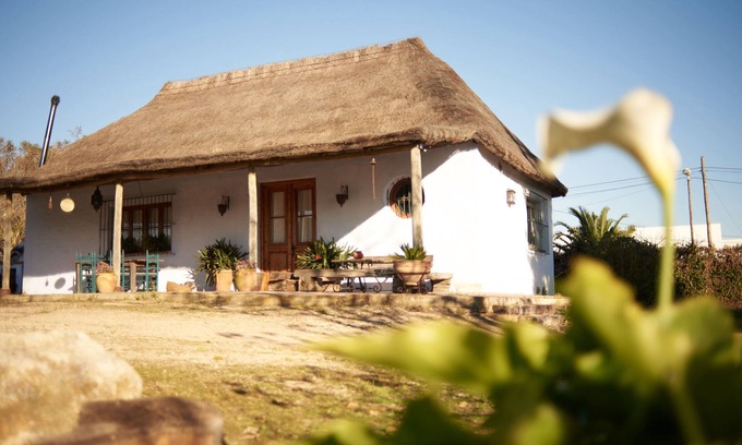 Jerez de la Frontera Cottage | Charming country house in ARBOLADA and quiet area