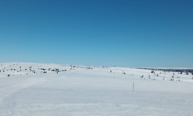 Sjusjoen Cabin | Charming cabin near slopes with sauna