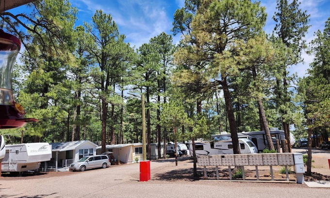 Show Low Cabin | Charming cabin with WIFI and AC in delightful Show LownWinter Rate 85.00 Nightly
