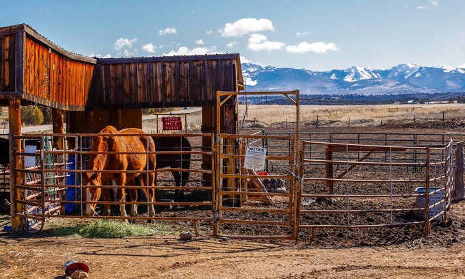 Mancos Apartment | Charming Farm Getaway in Mancos w/Mountain Views!