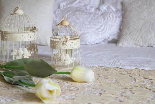 San Felice a Cancello House | Charming GEA